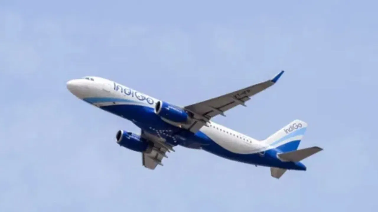 Indigo की फ्लाइट से टकराया पक्षी, दिल्ली आ रहे विमान की पटना में इमरजेंसी लैंडिंग