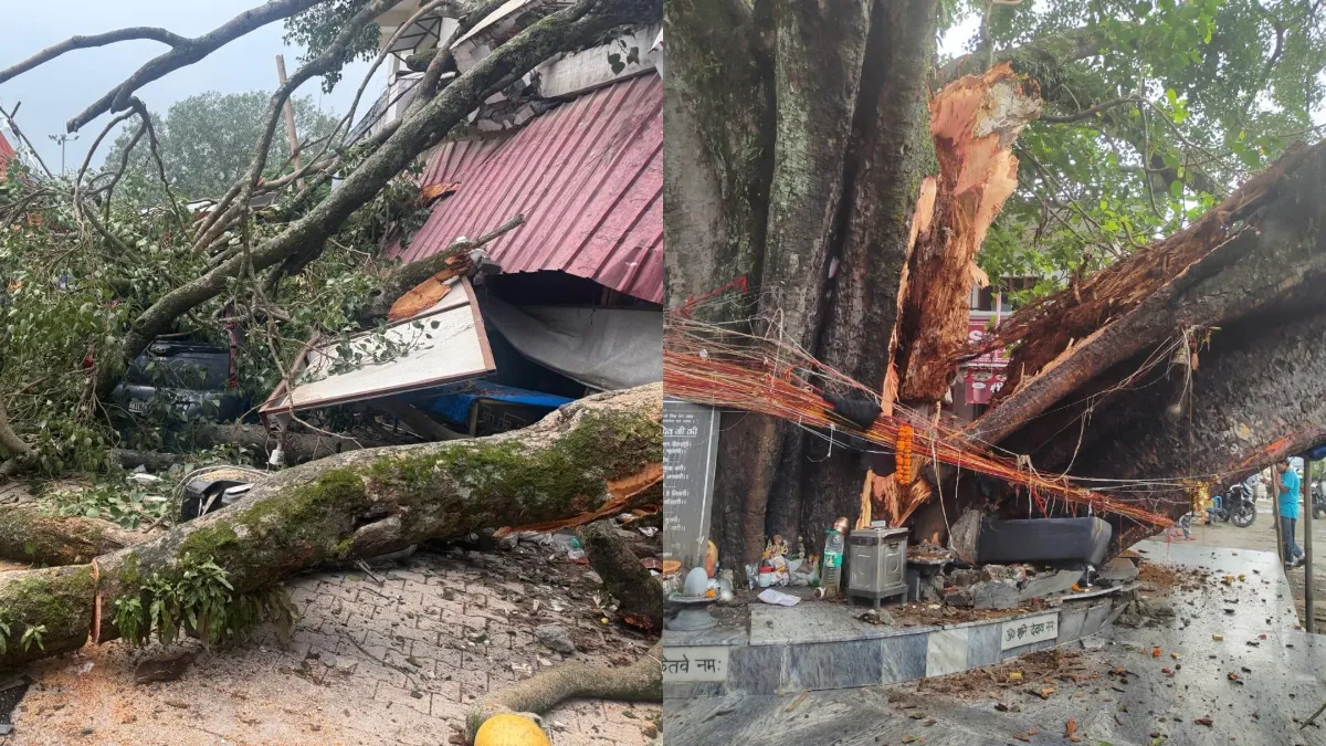 VIDEO: देहरादून के टपकेश्वर महादेव मंदिर परिसर में गिरा सदियों पुराना पेड़, बाल-बाल बचे श्रद्धालु