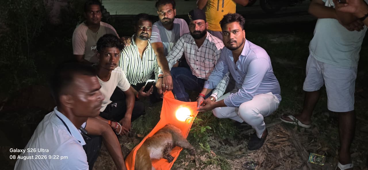 बिजुआ स्वास्थ्य केंद्र में 11 हजार लाइन का खतरा, ट्रांसफार्मर बॉक्स से छूकर बंदर की मौत