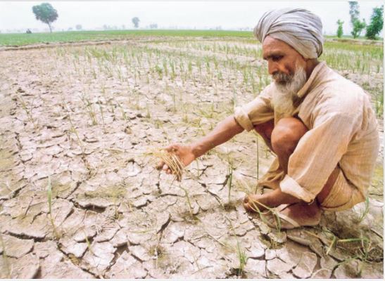 कमजोर मानसून से कृषि पर दबाव, कई राज्यों में सूखे की चिंता