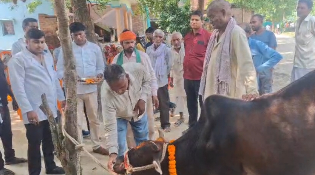 जौनपुर जनपद के मड़ियाहूं तहसील अंतर्गत ग्राम सभा जमलियां में पं दीनदयाल उपाध्याय पशु आरोग्य मेंले  का आयोजन किया गया।  मेले में लगभग 