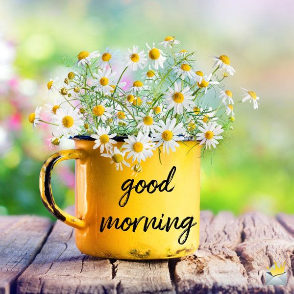 Motivational Quotes in Hindi – 100+ सुविचार हिंदी में