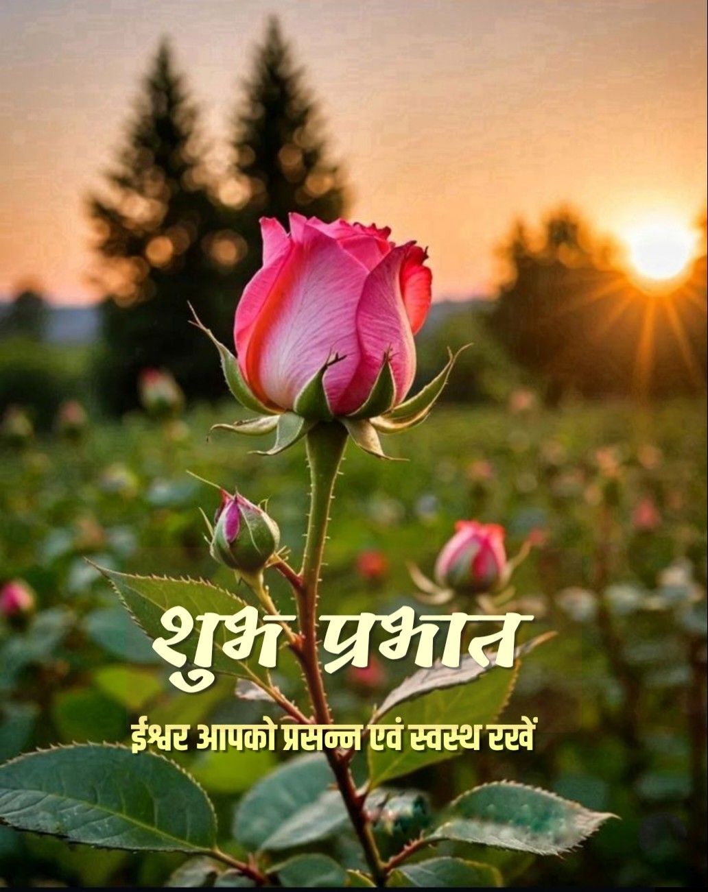 हर दिन की शुरुआत सकारात्मक विचारों से होनी चाहिए। ये सुविचार आपको दिनभर ऊर्जा से भर देंगे।