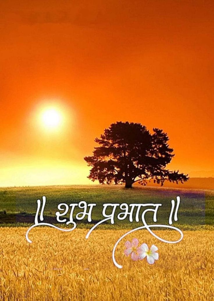 कभी-कभी एक पंक्ति ही हमारी सोच बदल सकती है।